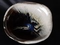 Chosen Karatsu Serving Bowl